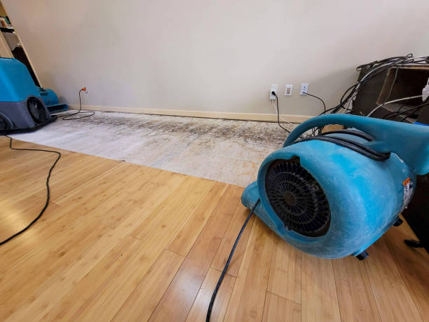 Professional Structural Drying technician working in Stevens Point, WI
